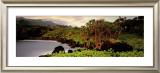 Buy Haleakala Rim at AllPosters.com