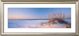 Buy Dune Dreaming at AllPosters.com