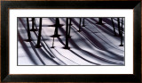 Buy Pine Trees and Morning Shadows at AllPosters.com