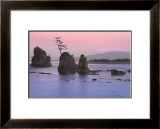 Buy Pacific Coast at AllPosters.com