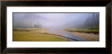 Buy Tidal Mist at AllPosters.com