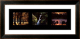 Buy Images from Nature II at AllPosters.com