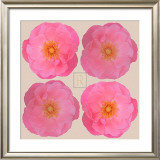 Blush I