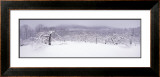 Buy The Seasons Project, 29th of March, 10:25 AM at AllPosters.com
