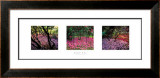 Buy Fallen Petals at AllPosters.com
