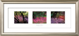 Buy Fallen Petals at AllPosters.com