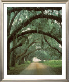 Buy Georgian Oaks at AllPosters.com