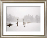 Buy White Fog II at AllPosters.com