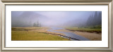 Buy Tidal Mist at AllPosters.com