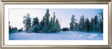 Buy Winter Drifts at AllPosters.com