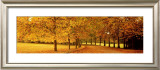 Autumn Leaves, Loire Valley, France