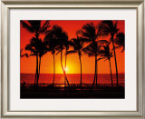 Buy Hawaiian Sunset at AllPosters.com