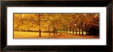 Autumn Leaves, Loire Valley, France