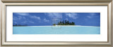Island Tropics