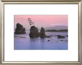 Buy Pacific Coast at AllPosters.com