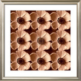 Poppyfield