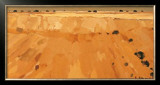 Buy Arido III at AllPosters.com