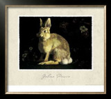 Buy Hare at AllPosters.com