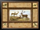 Deer Park Lodge