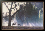 Buy Yosemite Dawn at AllPosters.com