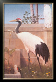 Buy Manchurian Crane, Cockatoo and Robin at AllPosters.com