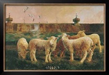 Five Lambs, 1988