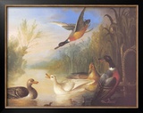 Buy Waterfowl in a Landscape at AllPosters.com