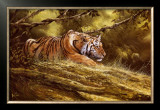 Buy Tiger Resting at AllPosters.com
