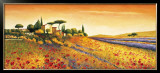 Buy Sunlight Country at AllPosters.com