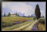 Holiday in Tuscany