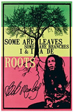 Bob Marley - De Roots