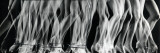 Multiple Exposure Stroboscopic of Dancer Betty Bruce's Legs and Feet as She Does Fast Tap Routine