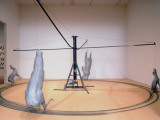Bruce Nauman's Installation 