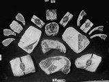 Array of Packaged Swift Meats Including Steaks, Pork Chops, Leg of Lamb and Others Premium Photographic Print