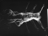 Stroboscopic Image of Dancer Ethel Butler of the Martha Graham Dance Group Performing,