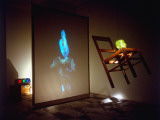 Bruce Nauman's Installation 