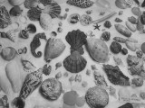 Buy Shell Fair, Sanibel Island at AllPosters.com