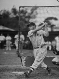 Buy Red Sox Dom Dimaggio at AllPosters.com