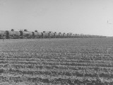 Buy Oil Tankers Being Hauled on the Railroad at AllPosters.com