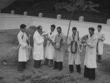 Scientists Studying Snakes at a Research Institute