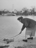 Lady with Her Dog in Central Park