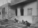 Haganah Men Crawling Along Wall
