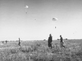 A Paratroopers Landing in a Open Field