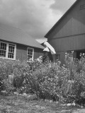 Date Unknownnun Standing Outside and Watering Plants