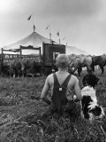 A Boy and His Dog Watching Circus Tents Being Set Up
