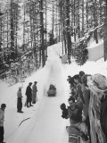 Buy Belgium Bobsled Team Crossing Finish Line at AllPosters.com