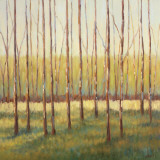 Grove of Trees