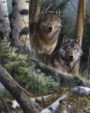 Watchful Eyes