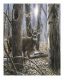 Woodland Sentry