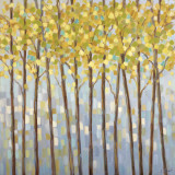Glistening Tree Tops